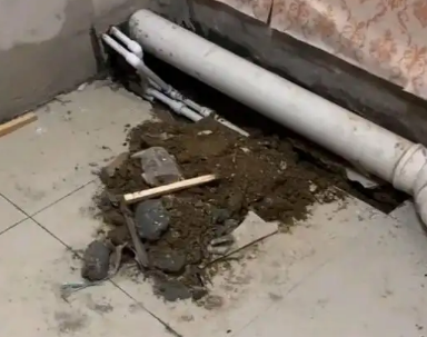 化州卫生间漏水检测哪家好