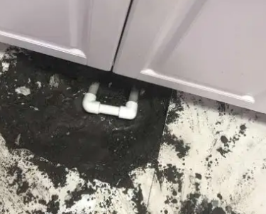 化州查漏水哪家好
